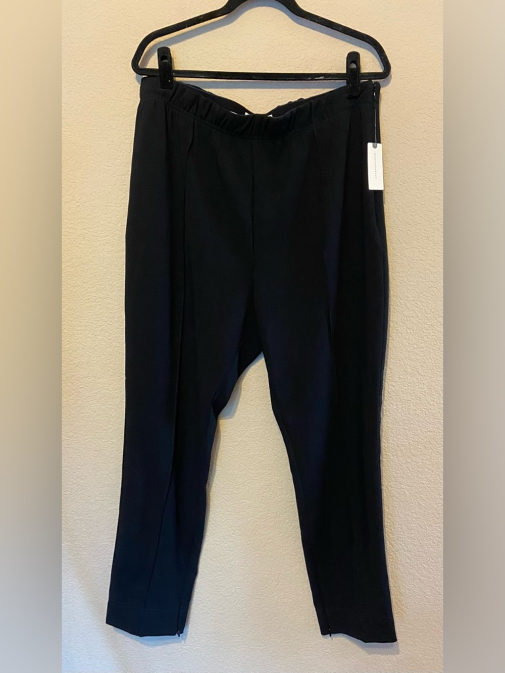 ANTHROPOLOGIE Pintuck Pleat Ankle Pants Flat Front Side Zip ankle zip Black XL
